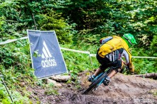 Beskidia Downhill 2012 - Palenica