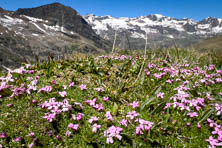 Letnie uroki Obergurgl