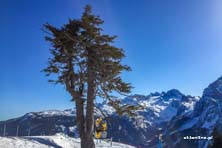 Dachstein West - Gosau, Annaberg, Russbach cz. I