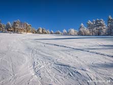 Arłamów - warunki narciarskie 2014.12.31