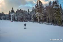 Krynica Henryk Ski - styczeń 2016