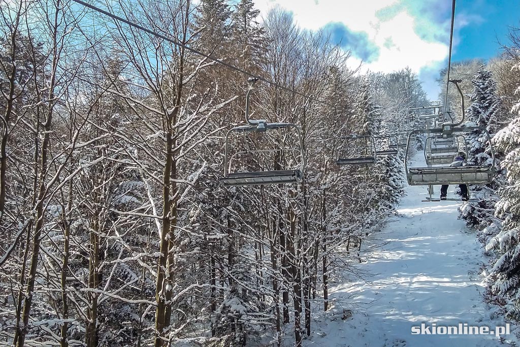 Galeria: Magura Ski Park - styczeń 2016