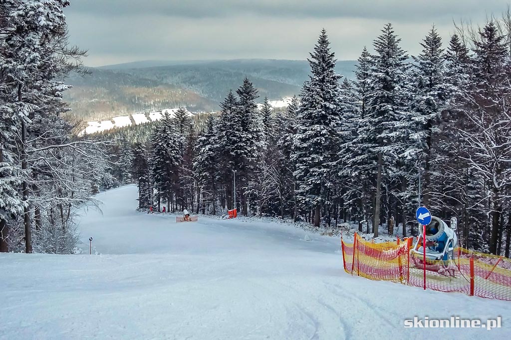 Galeria: Magura Ski Park - styczeń 2016