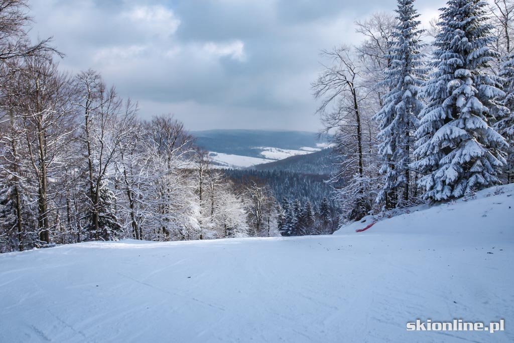 Galeria: Magura Ski Park - styczeń 2016