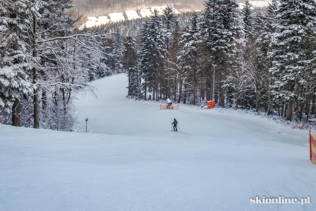 Galeria: Magura Ski Park - styczeń 2016
