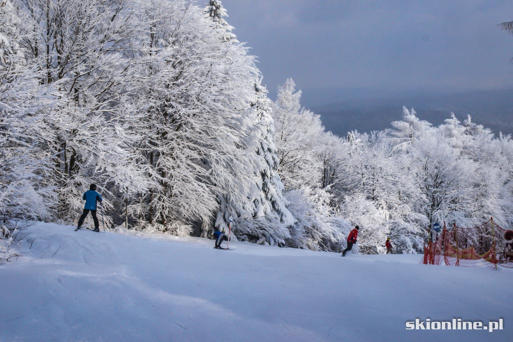 Galeria: Magura Ski Park - styczeń 2016