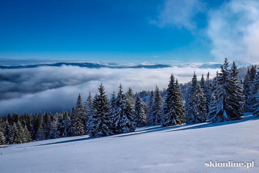 Galeria: Skiturowa wycieczka na Rycerzową cz. 2