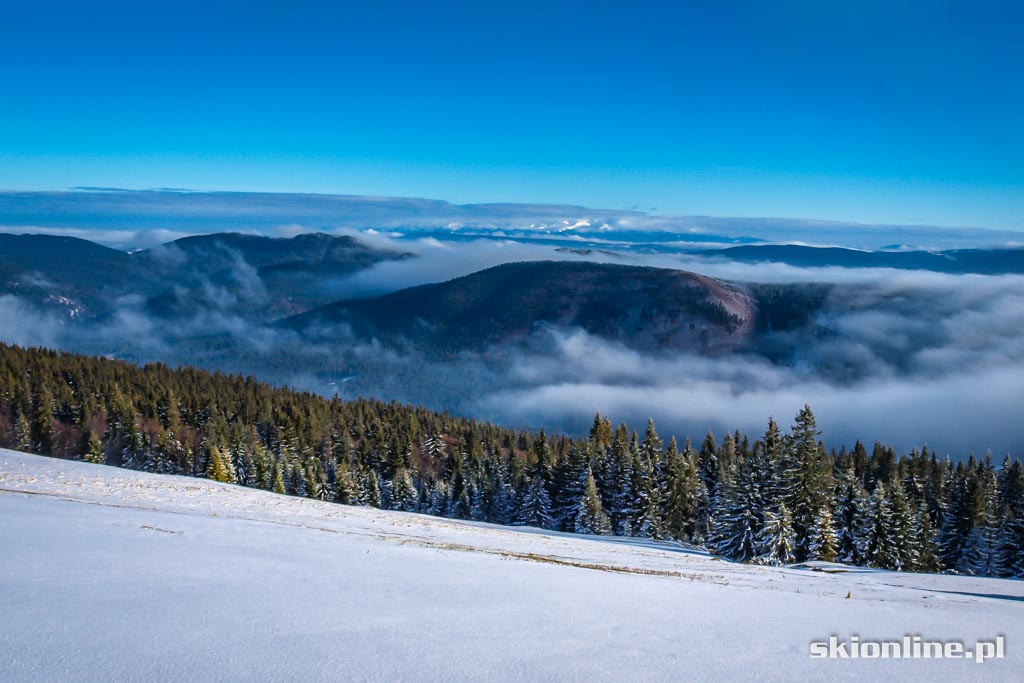 Galeria: Skiturowa wycieczka na Rycerzową cz. 2