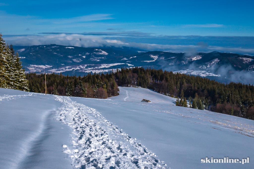 Galeria: Skiturowa wycieczka na Rycerzową cz. 2