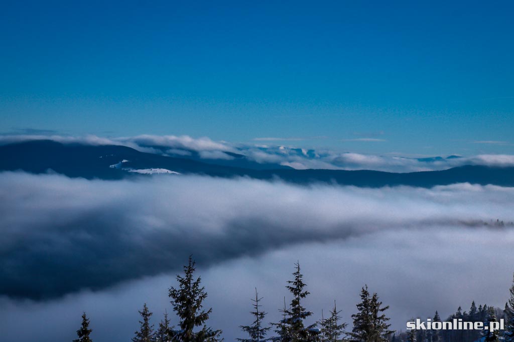 Galeria: Skiturowa wycieczka na Rycerzową cz. 2