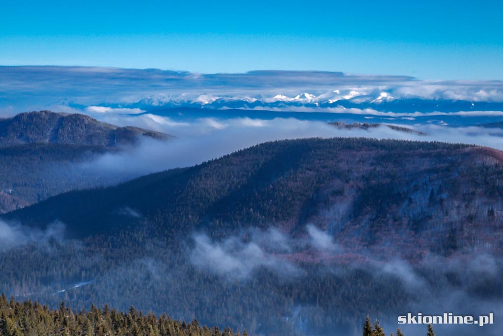 Galeria: Skiturowa wycieczka na Rycerzową cz. 2