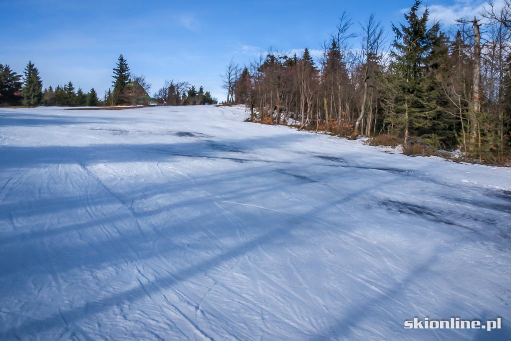 Galeria: Ski Arena Zieleniec - Nartorama styczeń 2016