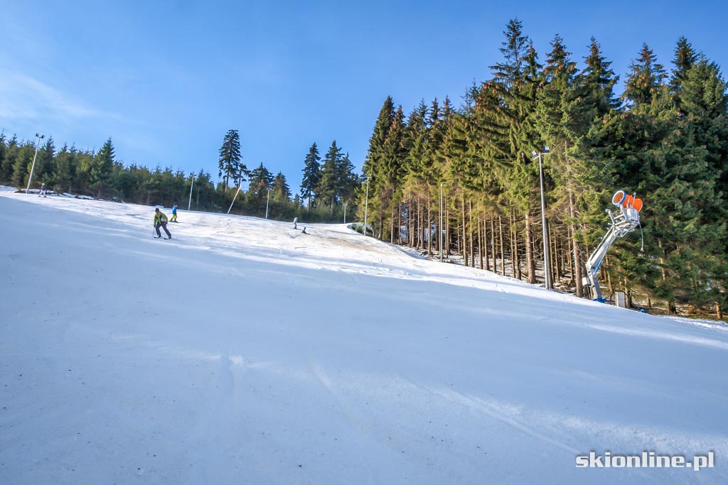 Galeria: Ski Arena Zieleniec - Nartorama styczeń 2016