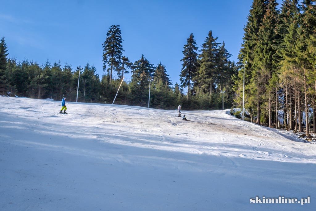 Galeria: Ski Arena Zieleniec - Nartorama styczeń 2016