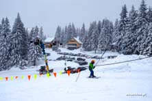 Winter Park Martinky