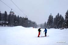 Winter Park Martinky