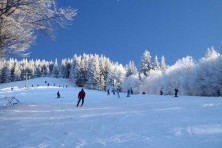 Vratna - Paseky, Południowy Groń