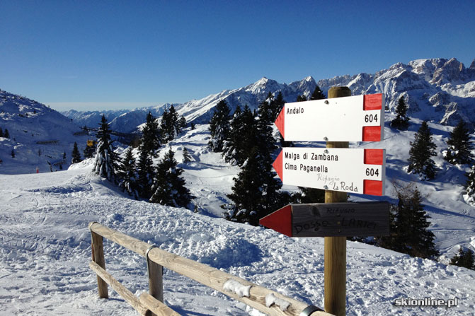 Galeria: Paganella Andalo - narty z widokiem na Dolomity
