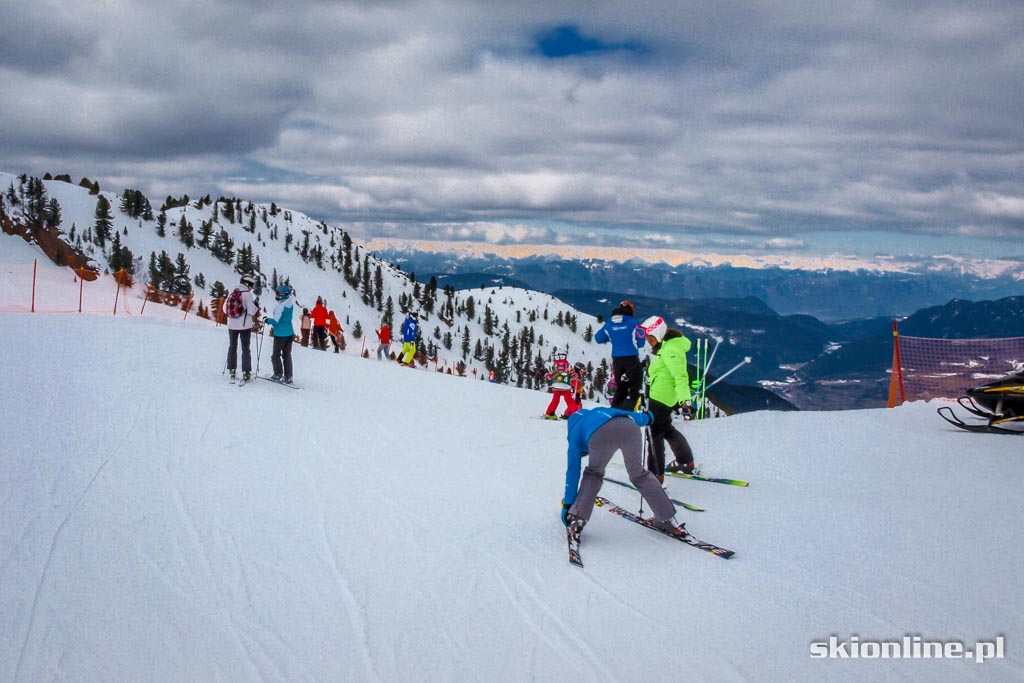 Galeria: Val di Fiemme, Alpe Cermis - Trentino marzec 2016