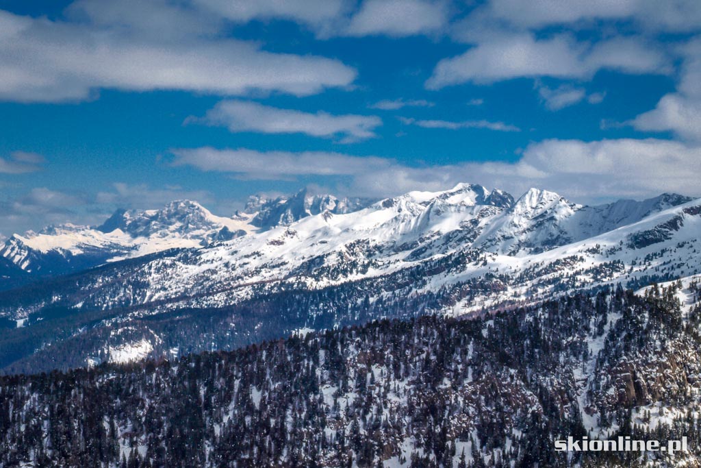 Galeria: Val di Fiemme, Alpe Cermis - Trentino marzec 2016