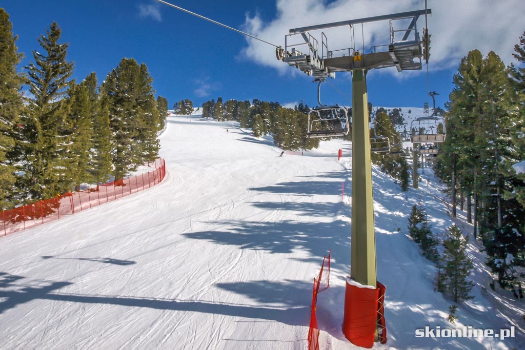 Galeria: Val di Fiemme, Alpe Cermis - Trentino marzec 2016
