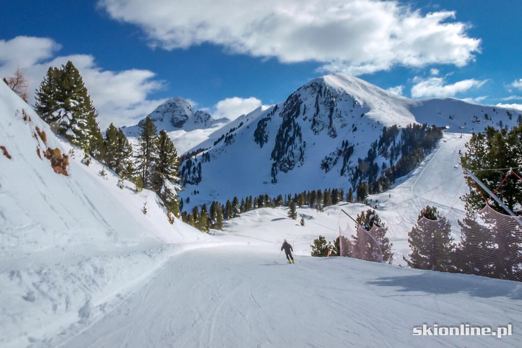 Galeria: Val di Fiemme, Alpe Cermis - Trentino marzec 2016