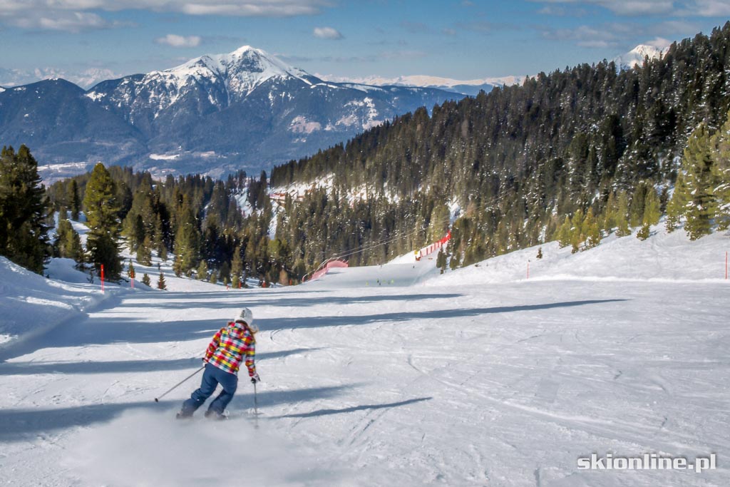 Galeria: Val di Fiemme, Alpe Cermis - Trentino marzec 2016