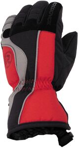 Rossignol Club