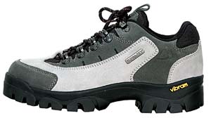 Bergson Denali Low