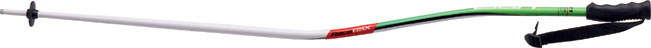 Elan RACE GSX curved