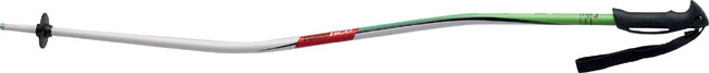 Elan RACE RCG Jr curved