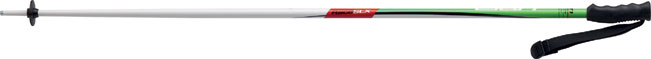 Elan RACE SLX