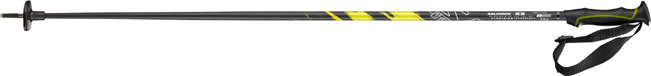 Salomon F-One