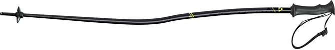 Fischer RC4 WC GS Jr.