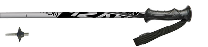 Fizan ACTION SILVER