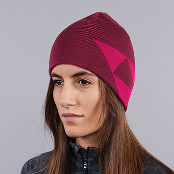Fischer Beanie - Logo Reversible