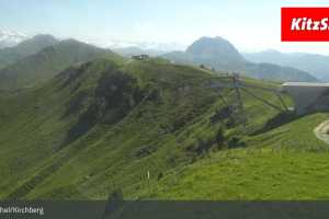 Pengelstein (LIVE Stream)