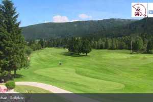 Golfplatz (LIVE Stream)