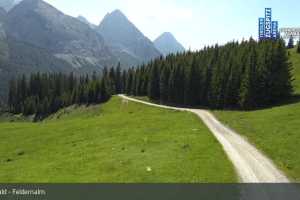 Feldernalm (LIVE Stream)