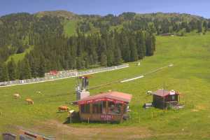 Zillertal Arena - Rosenalm