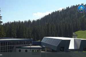 Grubig Alm (LIVE Stream)