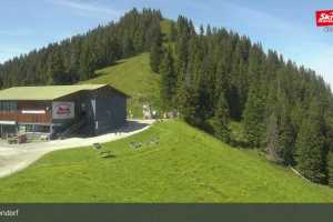 Talkaser (LIVE Stream)