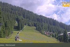 Märchenwald (LIVE Stream)