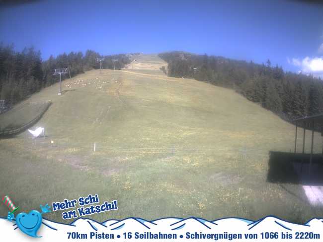Tschaneck