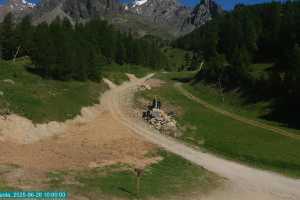 Kamera Val di Sole Pejo Campo Scuola Scoiattolo