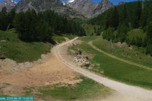 Kamera Campo Scuola Scoiattolo