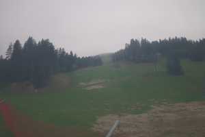 Kamera live