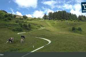 Kamera Saalfelden Leogang  Sommerrodelbahn (LIVE Stream)
