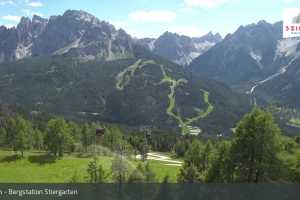 Stiergarten (LIVE Stream)