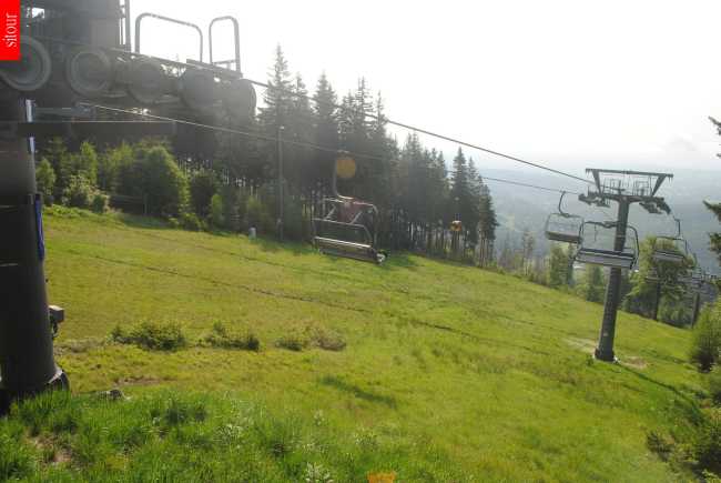 Protěž